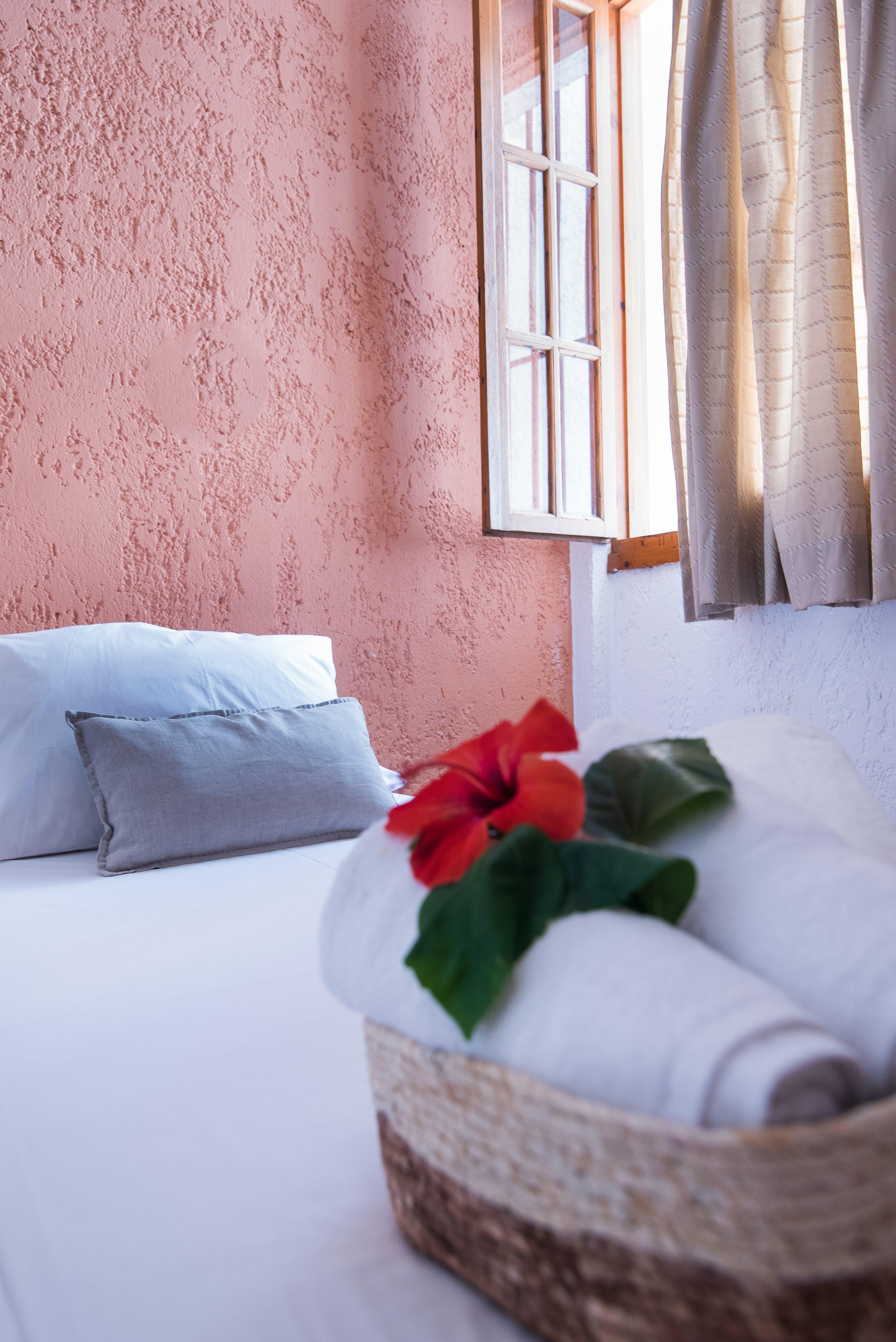Anna Maria Otel Malia Dış mekan fotoğraf
