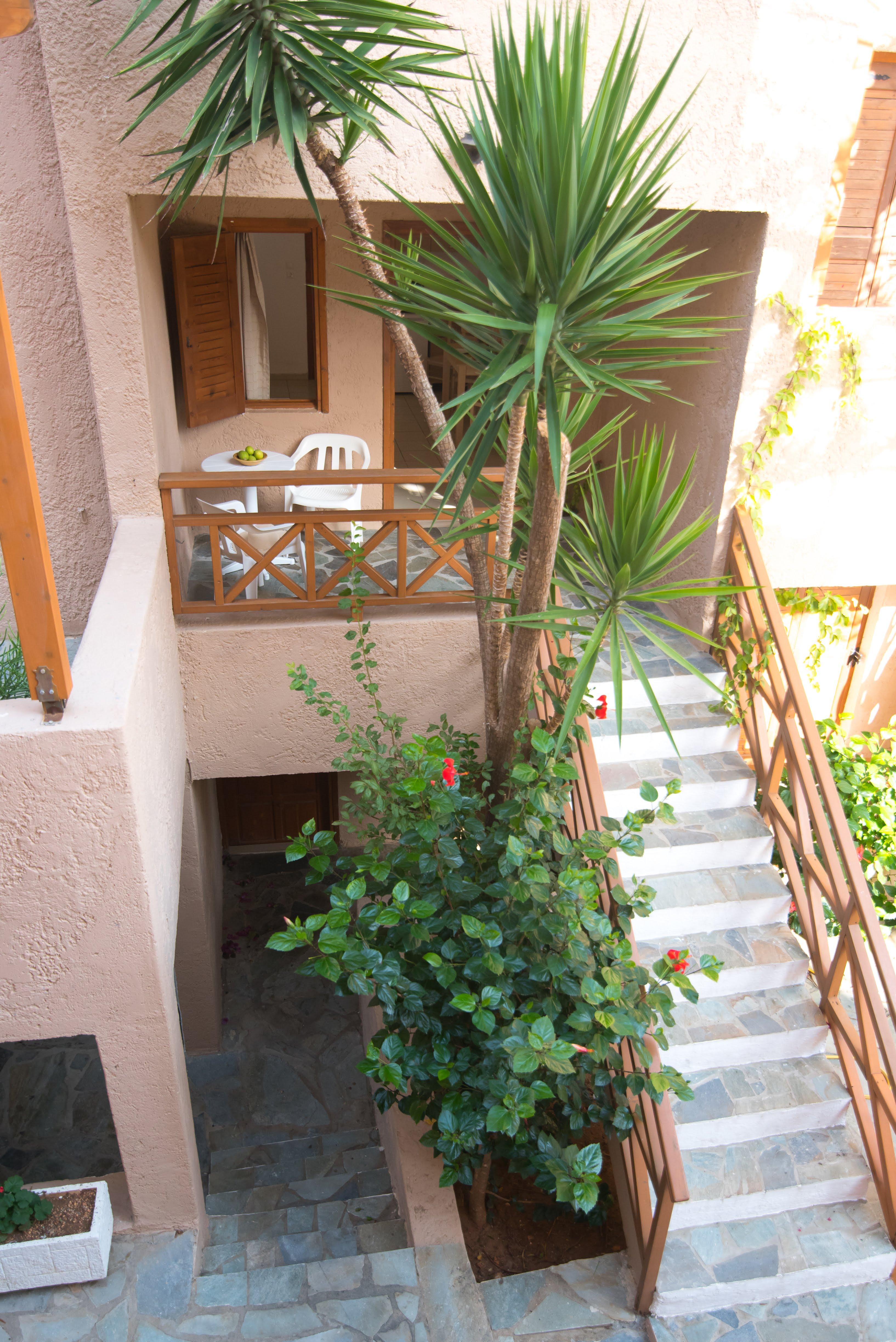 Anna Maria Otel Malia Dış mekan fotoğraf